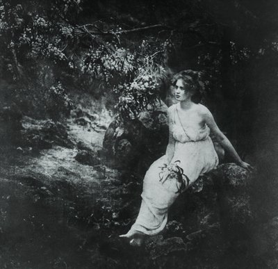 Wattle costiero, Acacia longifolia da Archibald James Campbell